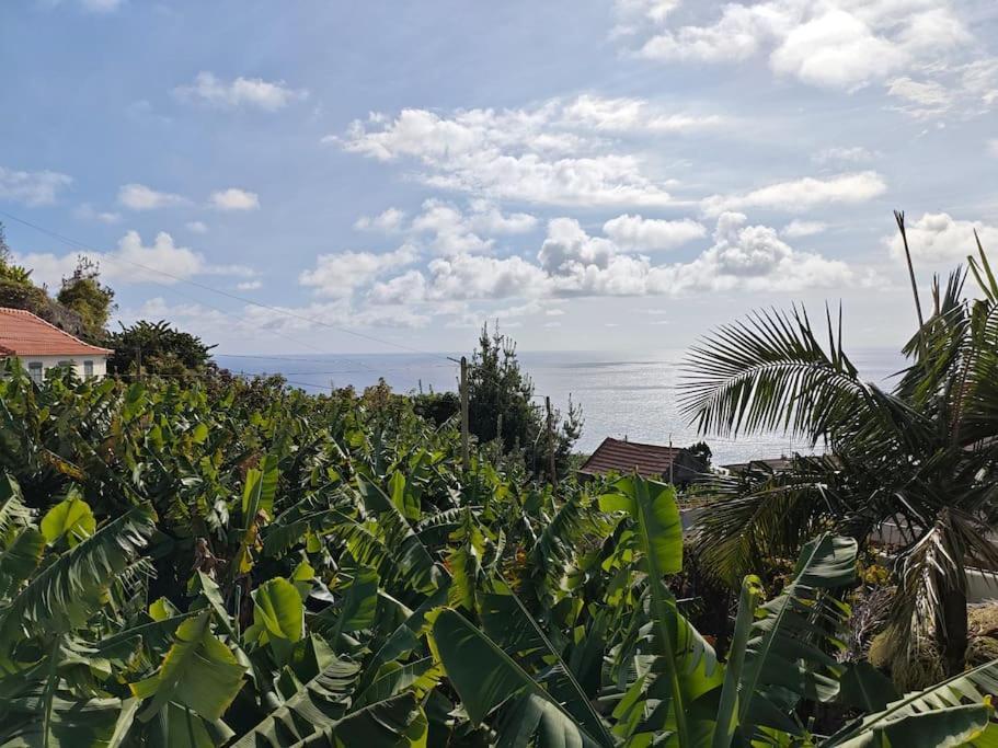 Апартаменты Vаrаndаs Dо Sоl-Vista Relaxante Entre Mar E Montanha Понта-ду-Сол Экстерьер фото